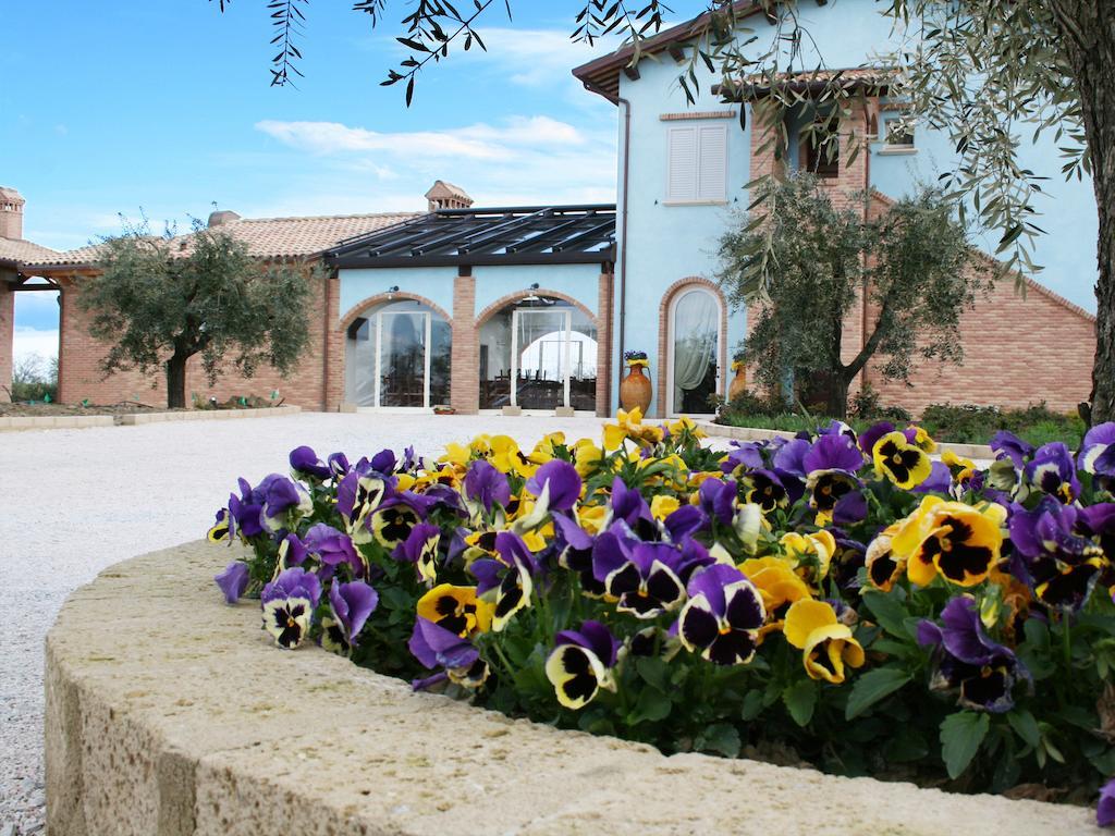 Agriturismo L'Infinito Villa Gambettola Ngoại thất bức ảnh